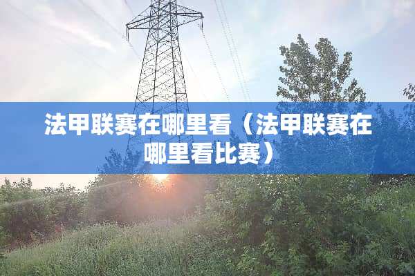 法甲联赛在哪里看（法甲联赛在哪里看比赛）