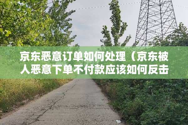 京东恶意订单如何处理（京东被人恶意下单不付款应该如何反击）
