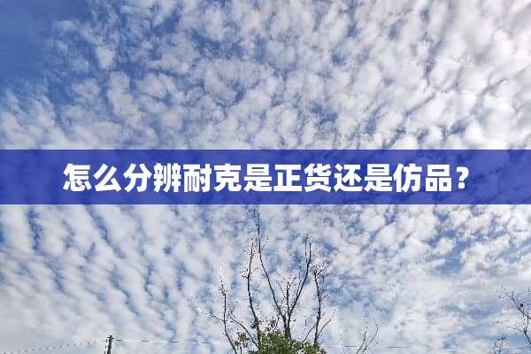 怎么分辨耐克是正货还是仿品？