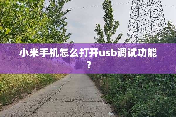 小米手机怎么打开usb调试功能？
