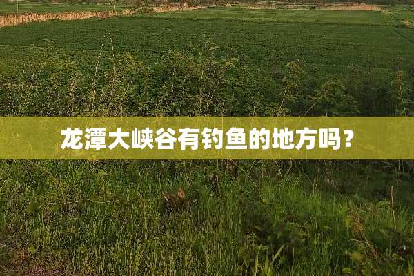 龙潭大峡谷有钓鱼的地方吗？
