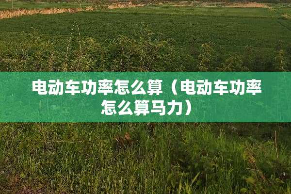 电动车功率怎么算（电动车功率怎么算马力）