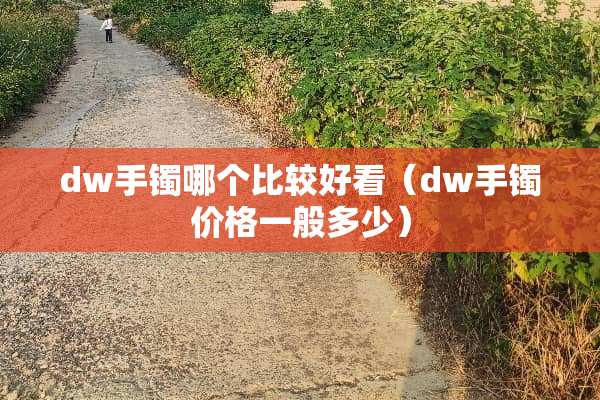 dw手镯哪个比较好看（dw手镯价格一般多少）