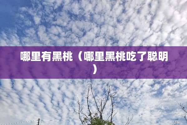 哪里有黑桃（哪里黑桃吃了聪明）