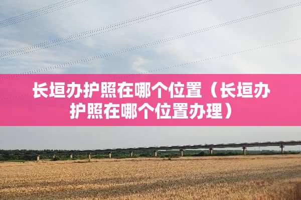 长垣办护照在哪个位置（长垣办护照在哪个位置办理）