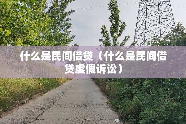 什么是民间借贷（什么是民间借贷虚假诉讼）