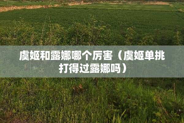 虞姬和露娜哪个厉害（虞姬单挑打得过露娜吗）