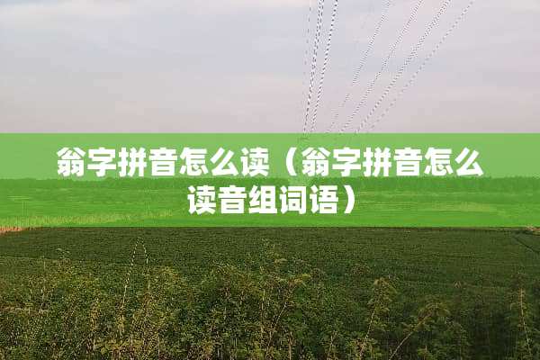 翁字拼音怎么读（翁字拼音怎么读音组词语）