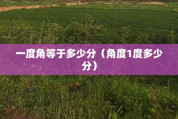 一度角等于多少分（角度1度多少分）
