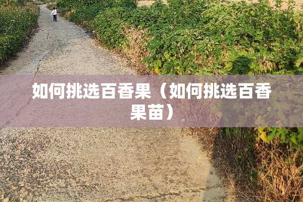 如何挑选百香果（如何挑选百香果苗）