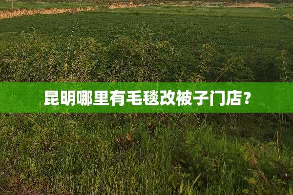 昆明哪里有毛毯改被子门店？