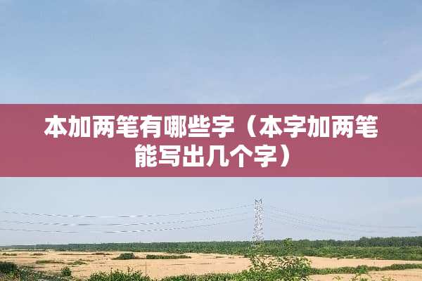 本加两笔有哪些字（本字加两笔能写出几个字）
