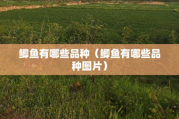 鲫鱼有哪些品种（鲫鱼有哪些品种图片）