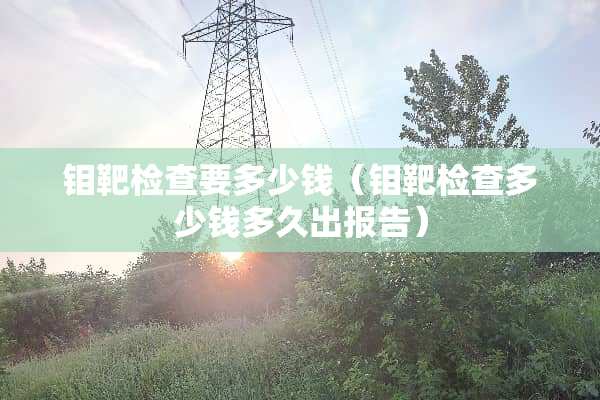 钼靶检查要多少钱（钼靶检查多少钱多久出报告）