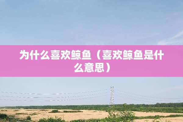 为什么喜欢鲸鱼（喜欢鲸鱼是什么意思）