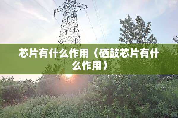 芯片有什么作用（硒鼓芯片有什么作用）