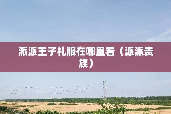 派派王子礼服在哪里看（派派贵族）
