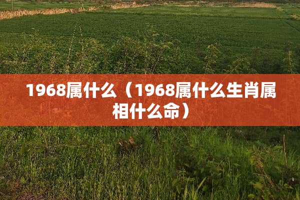 1968属什么（1968属什么生肖属相什么命）