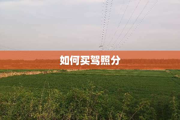 如何买驾照分