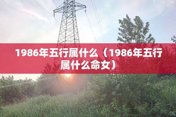 1986年五行属什么（1986年五行属什么命女）