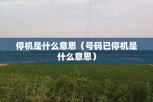 停机是什么意思（号码已停机是什么意思）