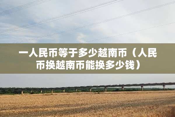 一人民币等于多少越南币（人民币换越南币能换多少钱）