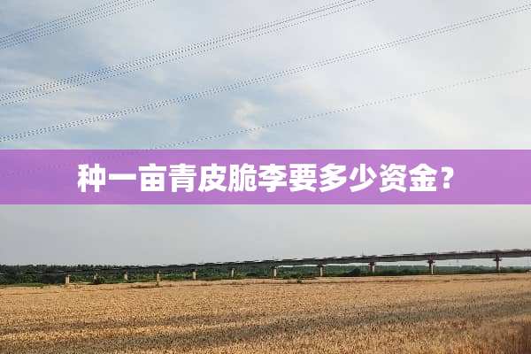 种一亩青皮脆李要多少资金？