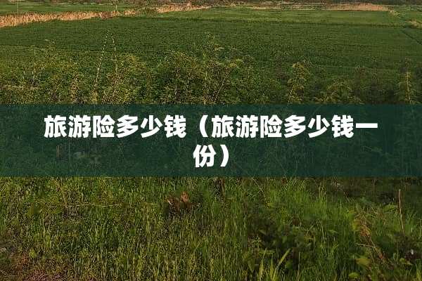 旅游险多少钱（旅游险多少钱一份）