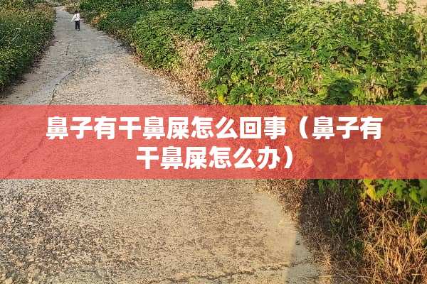 鼻子有干鼻屎怎么回事（鼻子有干鼻屎怎么办）