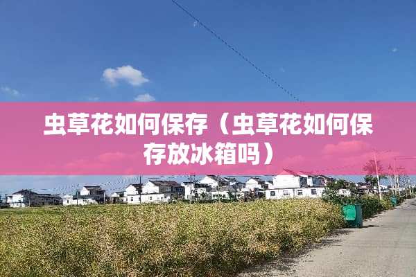 虫草花如何保存（虫草花如何保存放冰箱吗）