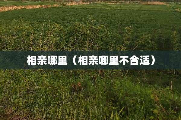 相亲哪里（相亲哪里不合适）