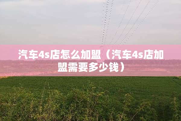 汽车4s店怎么加盟（汽车4s店加盟需要多少钱）