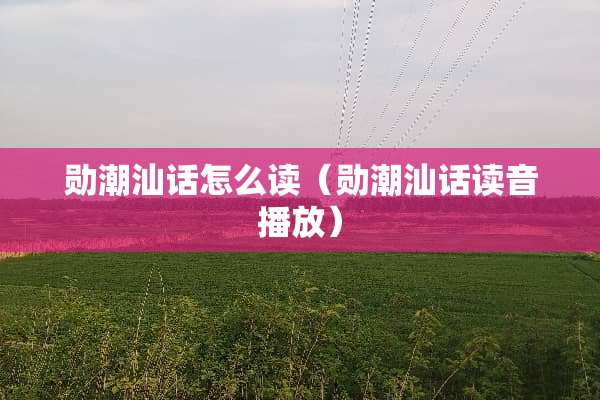勋潮汕话怎么读（勋潮汕话读音播放）