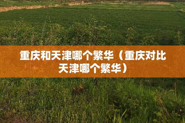 重庆和天津哪个繁华（重庆对比天津哪个繁华）