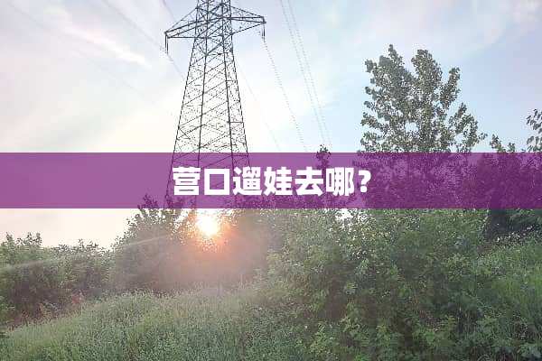 营口遛娃去哪？