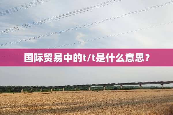 国际贸易中的t/t是什么意思？