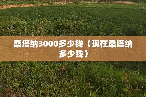 桑塔纳3000多少钱（现在桑塔纳多少钱）