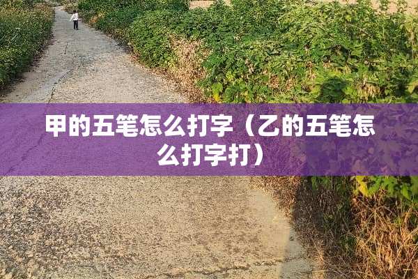 甲的五笔怎么打字（乙的五笔怎么打字打）