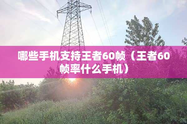 哪些手机支持王者60帧（王者60帧率什么手机）