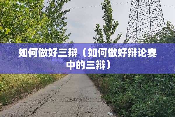 如何做好三辩（如何做好辩论赛中的三辩）
