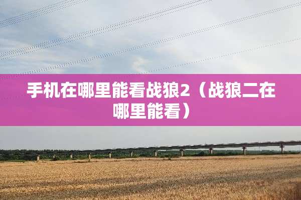 手机在哪里能看战狼2（战狼二在哪里能看）