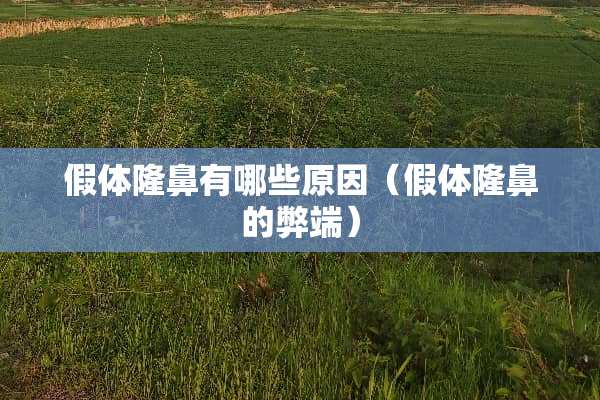 假体隆鼻有哪些原因（假体隆鼻的弊端）