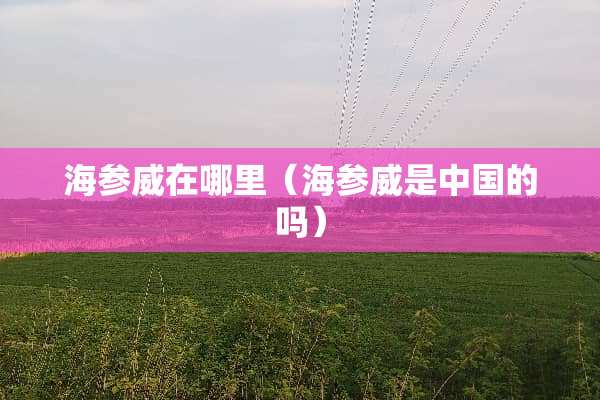 海参威在哪里（海参威是中国的吗）