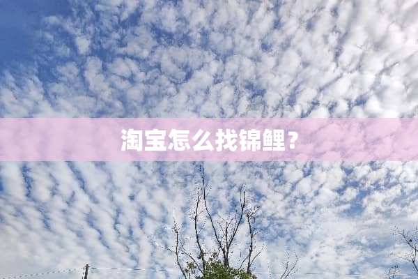 淘宝怎么找锦鲤？