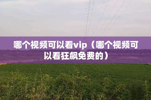 哪个视频可以看vip（哪个视频可以看狂飙免费的）