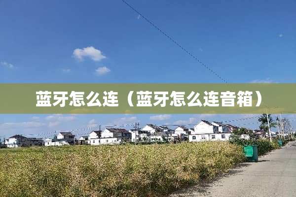 蓝牙怎么连（蓝牙怎么连音箱）