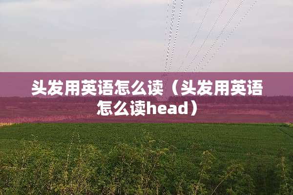 头发用英语怎么读（头发用英语怎么读head）