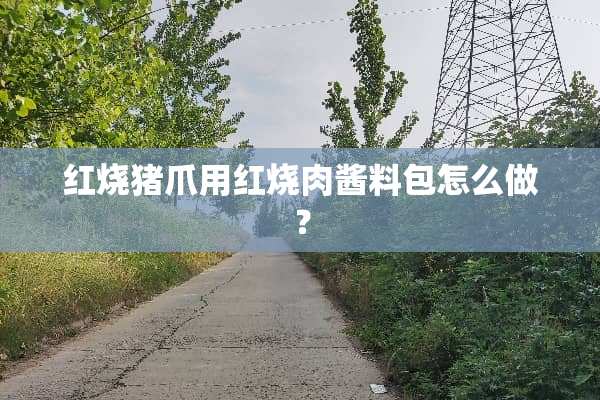 红烧猪爪用红烧肉酱料包怎么做？