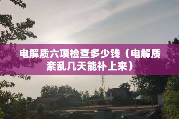 电解质六项检查多少钱（电解质紊乱几天能补上来）