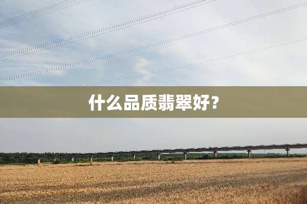 什么品质翡翠好？